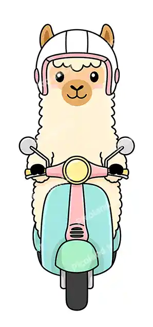 عکس با کیفیت HD لاما کیوت موتور سوار کد0409